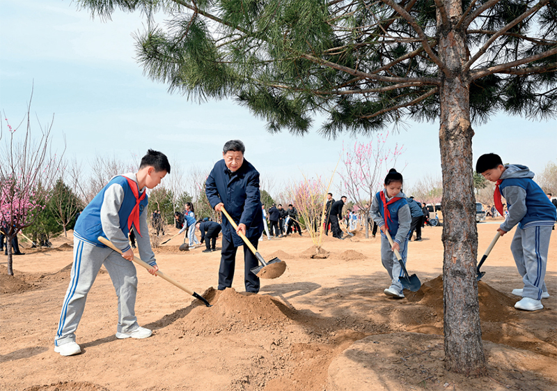 Z6��������ʱ���й����ٷ���վ