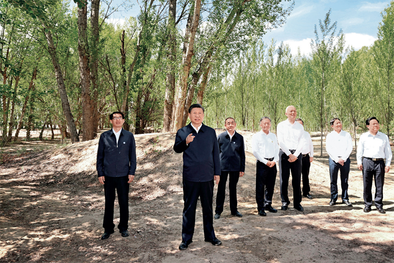 Z6��������ʱ���й����ٷ���վ