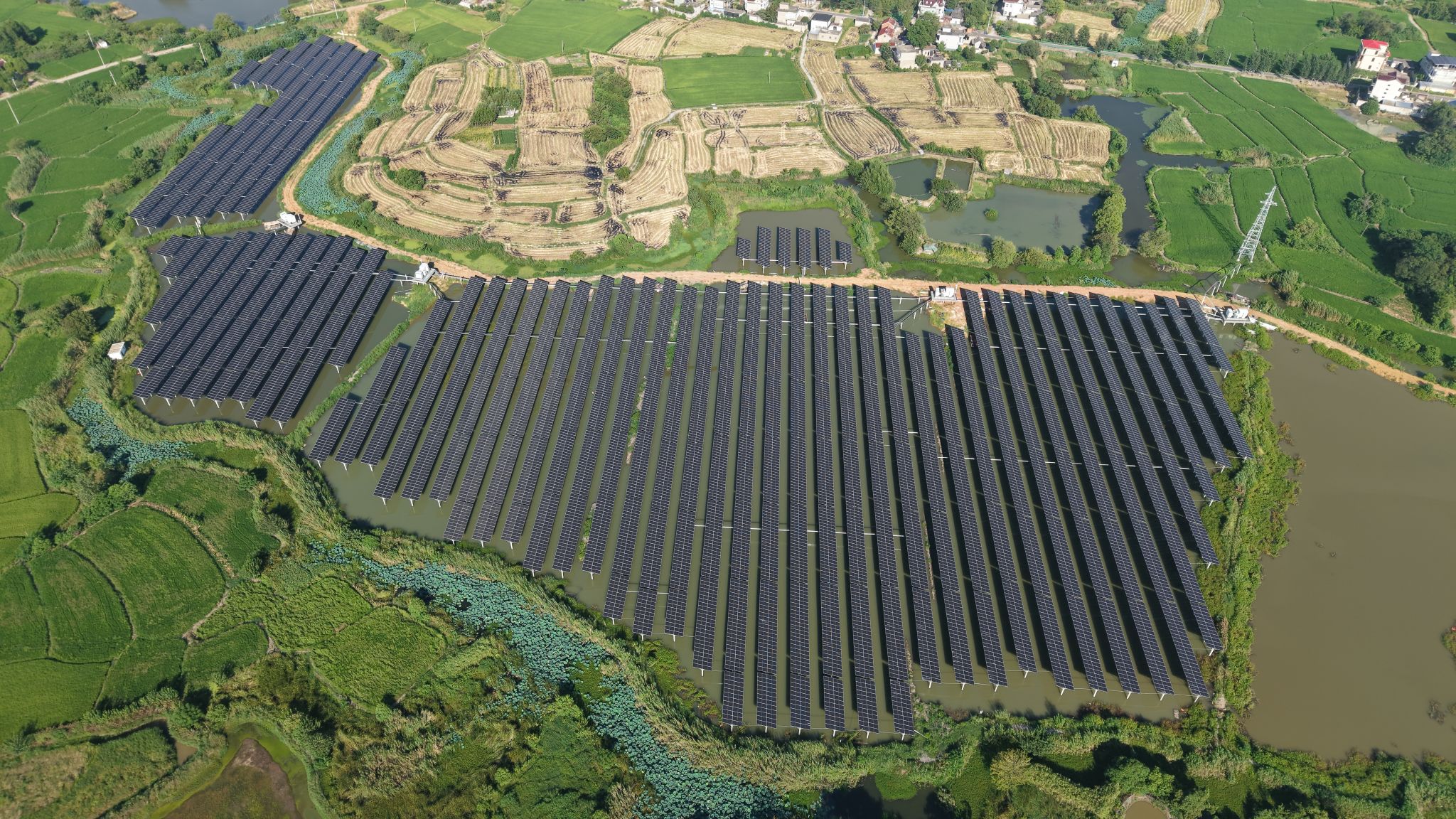 Z6��������ʱ���й����ٷ���վ