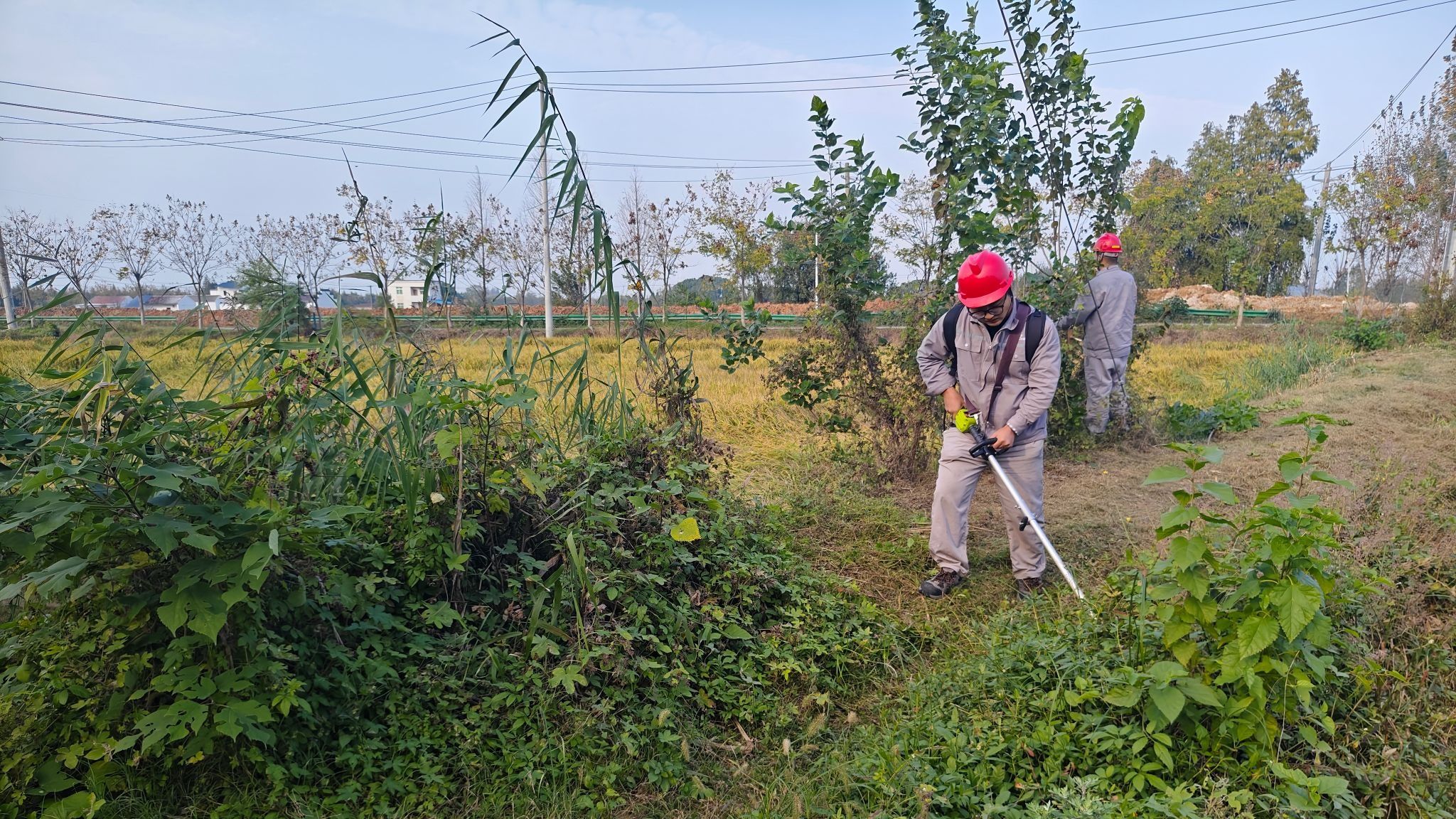 Z6��������ʱ���й����ٷ���վ